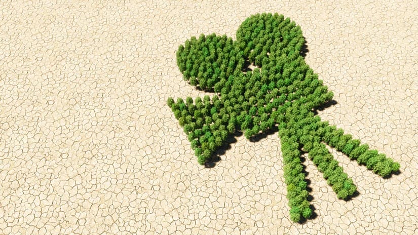 greenworking