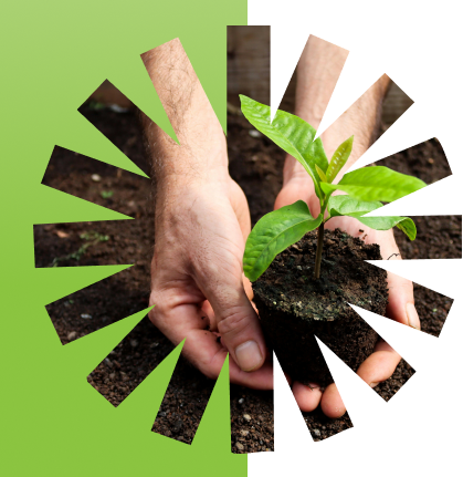 Sustainability